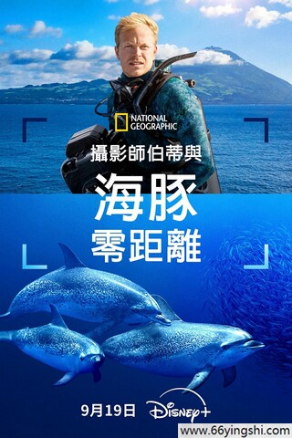 荒诞感镜头巡游